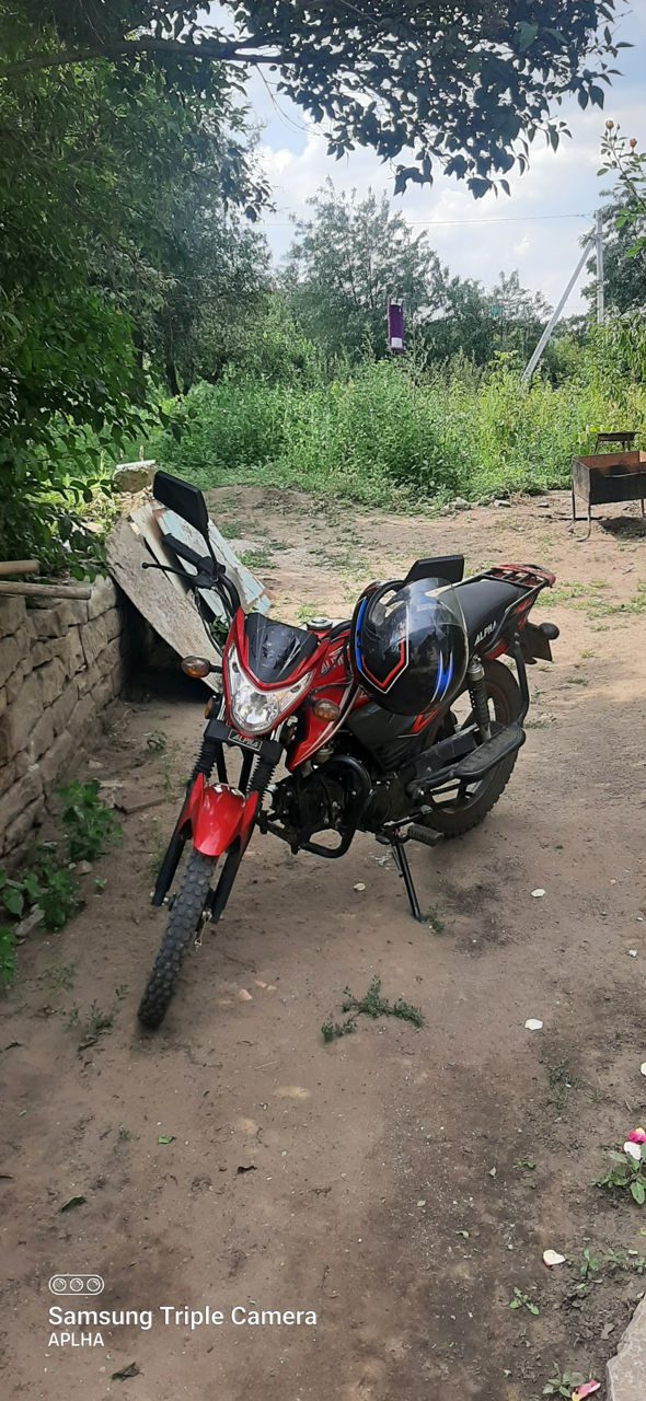 Alpha Moto