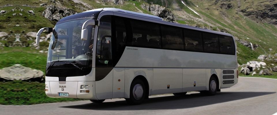 Autocar Chisinau- Parma,Verona,Milano,Torino!!! фото 0