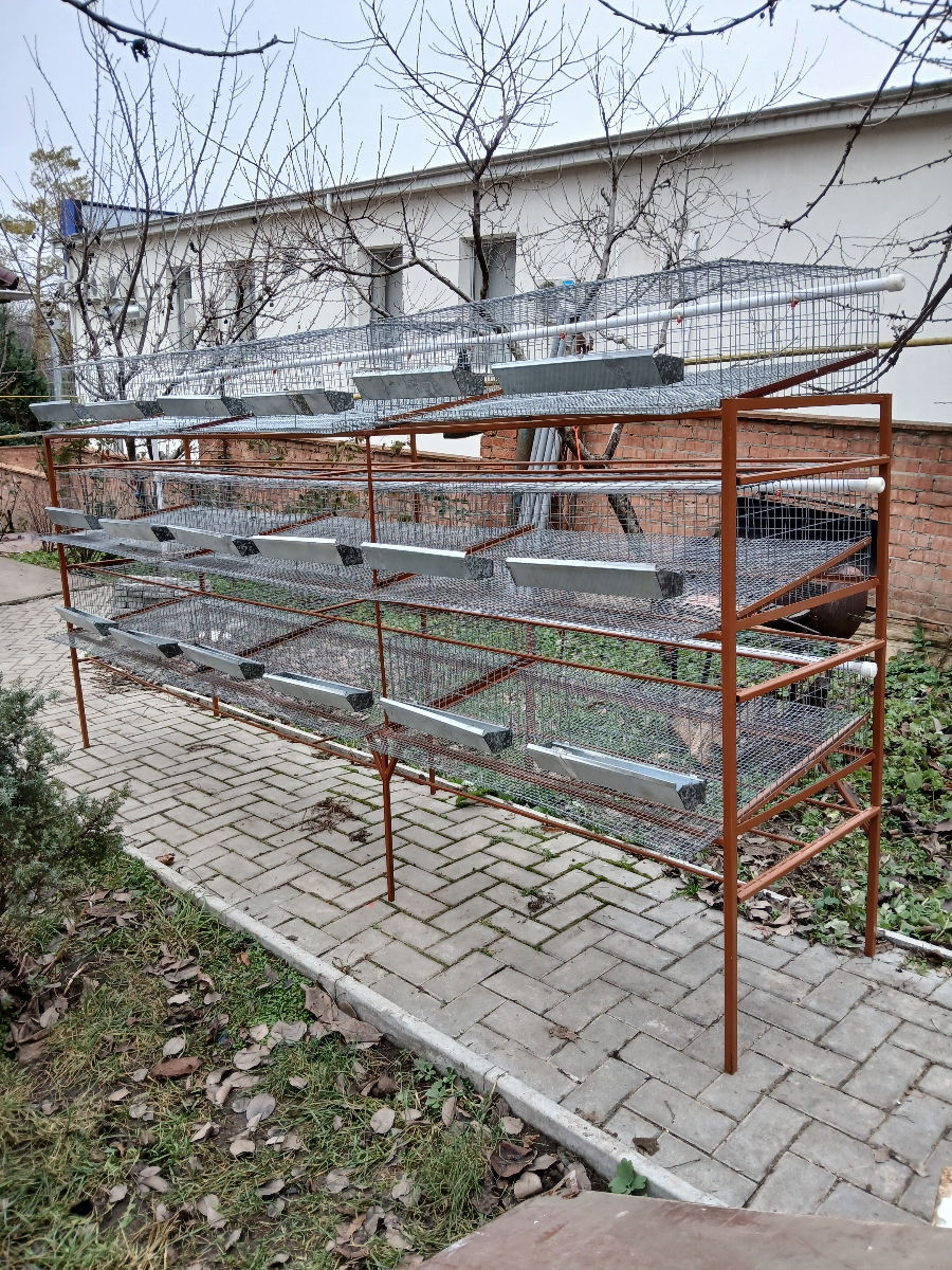 Cuști pentru prepelite foto 4