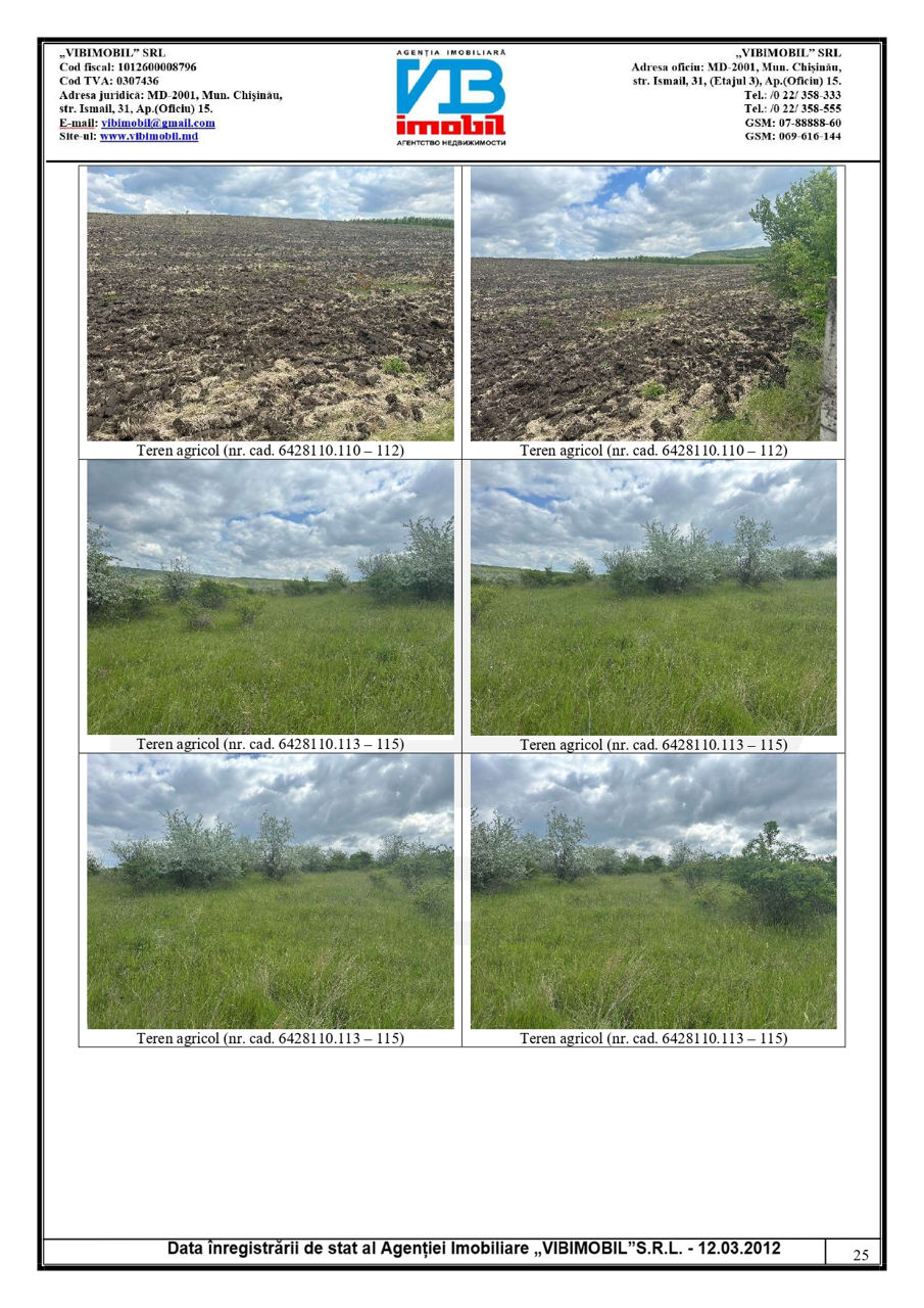 Teren agricol, Crihana, 2 hectare