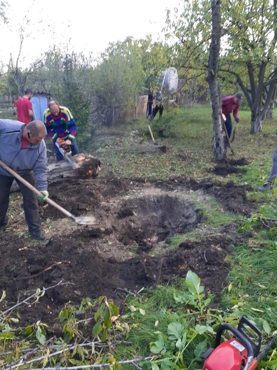 Scoatem radacini,tulpini. Выкарчевка деревьев и пеньков уборка территории foto 4