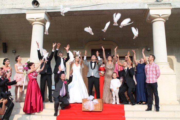 Porumbei pentru nunti, ceremonii foto 4