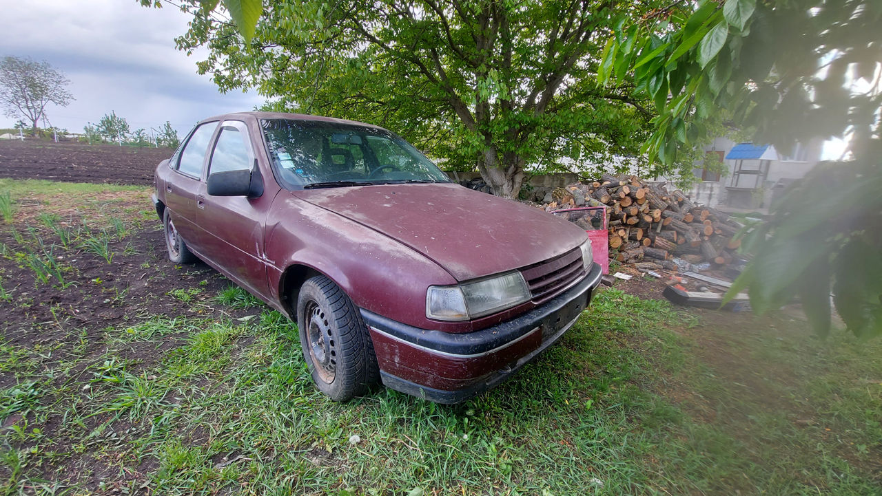 Opel Vectra фото 0
