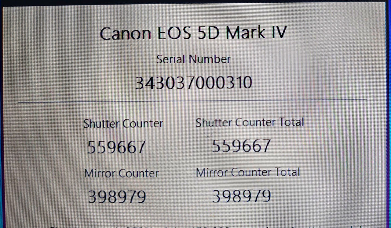 Canon 5D Mark IV  foto 5