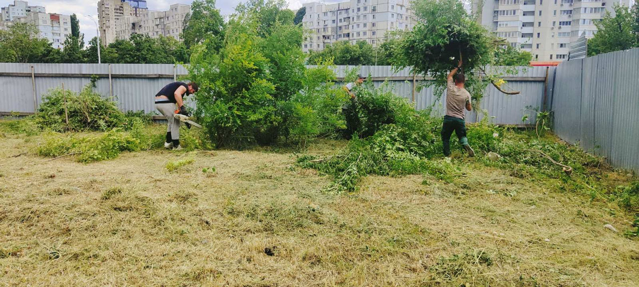 Услуги по стрижке травы, уходу за газоном и очистке участков! фото 1