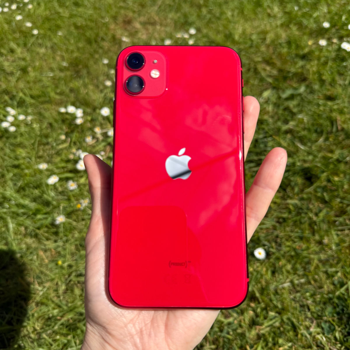 Apple iPhone 11 Red foto 0