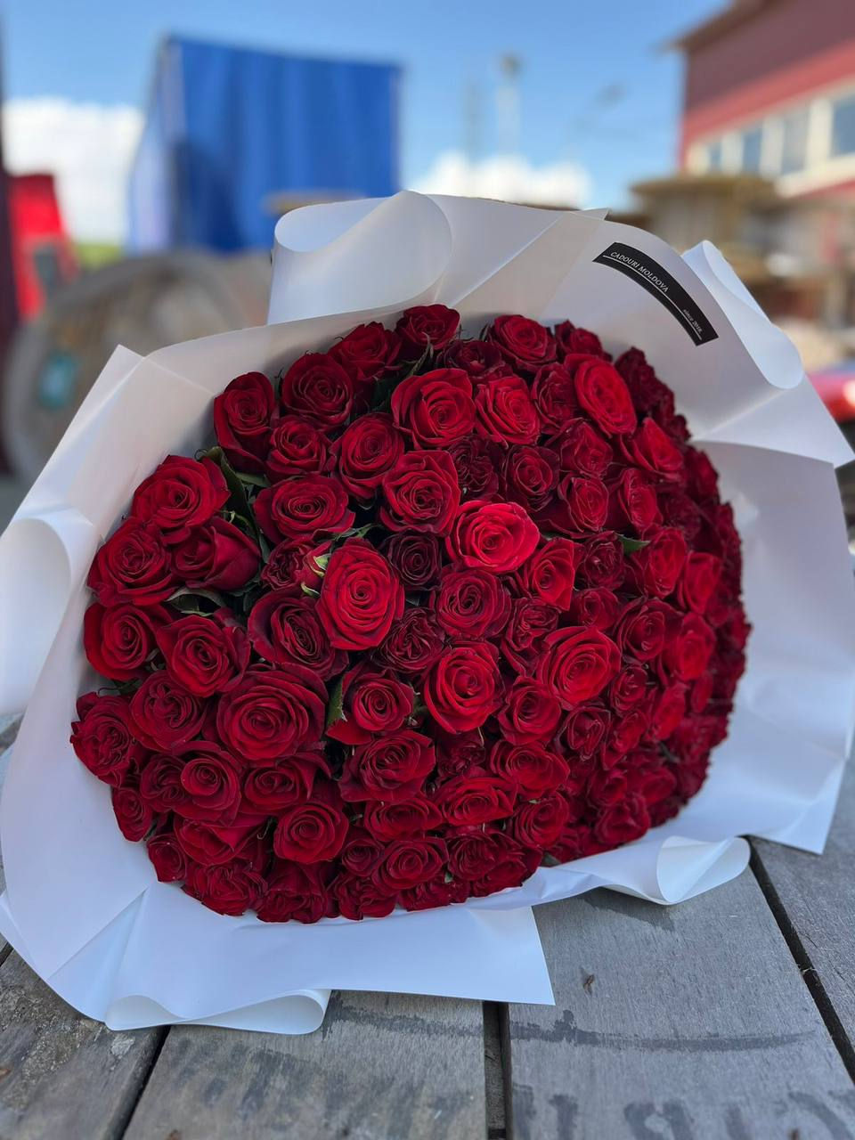  trandafiri roșii la cel mai bun preț! foto 2