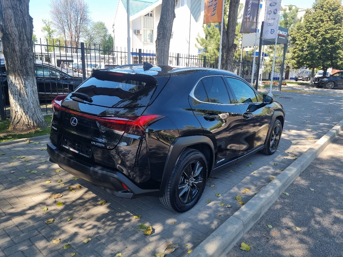 Lexus UX 2020 photo 5