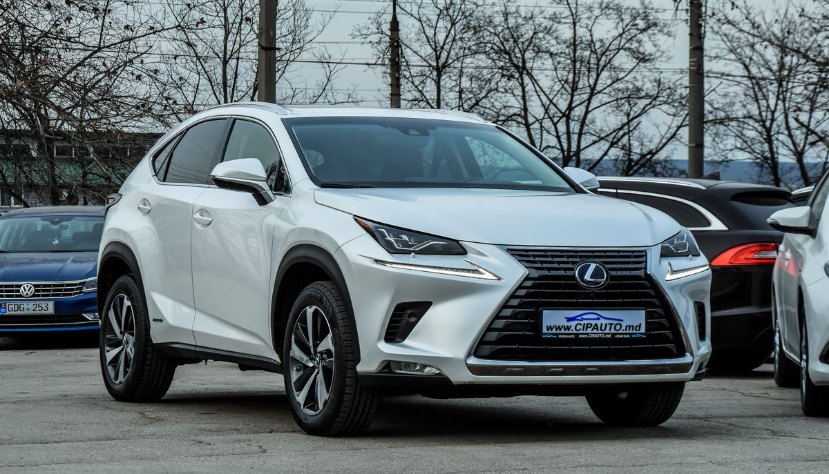 Lexus NX Series foto 1