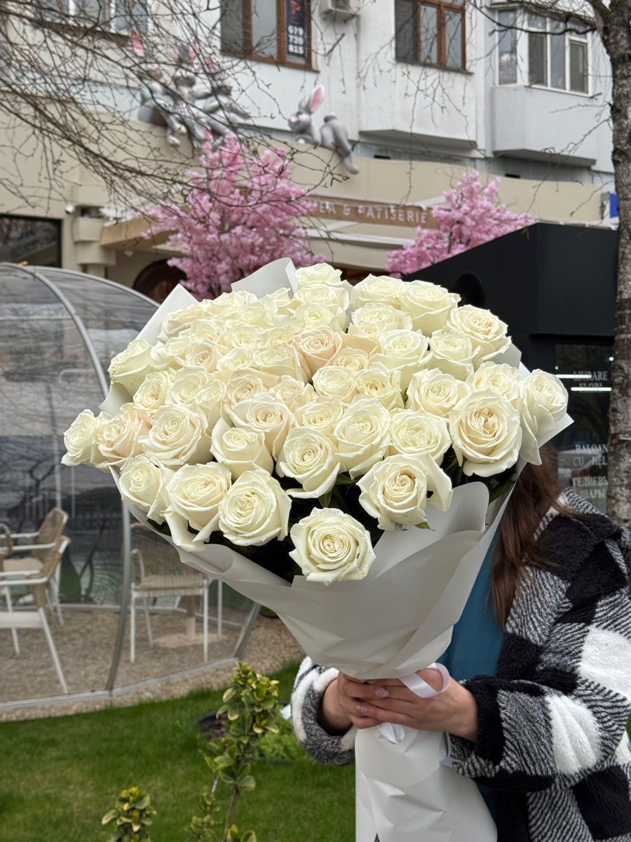 Oferte speciale la lalele! 51 la 1000 lei / soiuri olandeze! foto 9