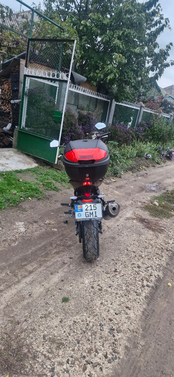 Geon Stinger 250 фото 3