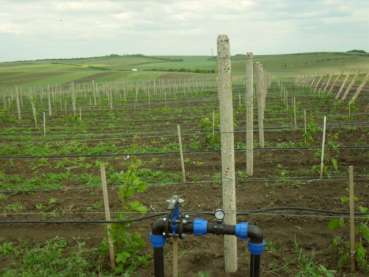 Sisteme de irigare. Proiectare, utilaj de irigare. Проектирование, оросительное оборудование,монтаж foto 2