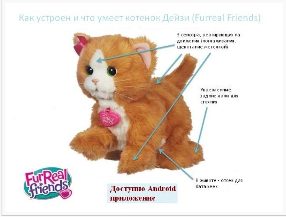 Описание любимой игрушки кота