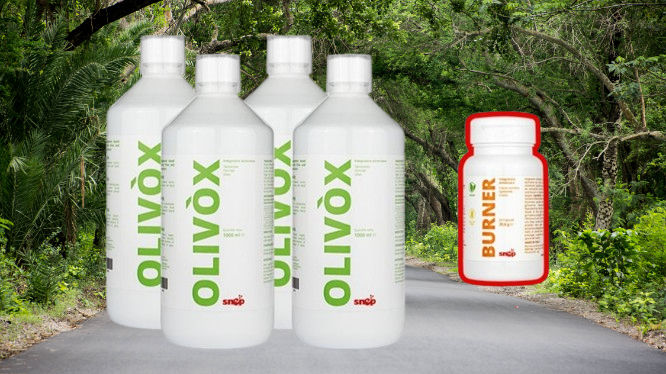  Olivox promotie! foto 1