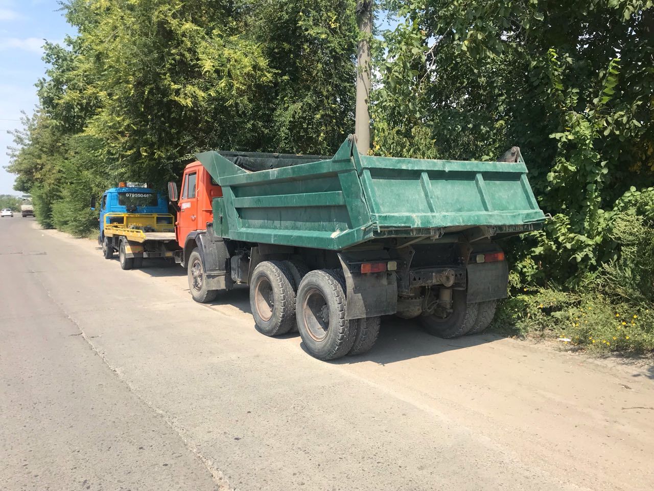 трактор бобкат