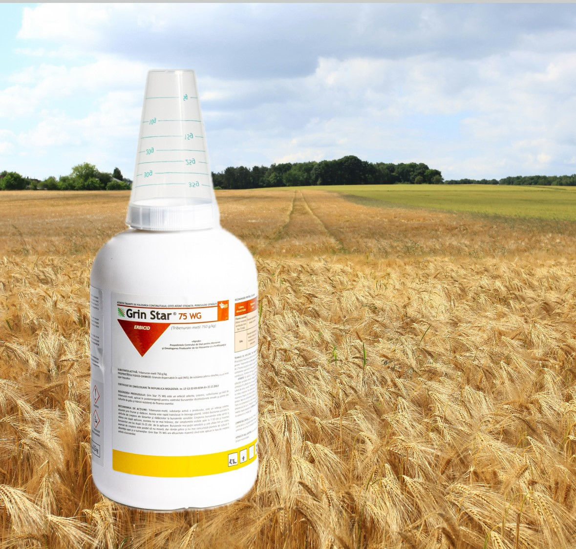 Tribenuron-metil 750 g/kg, GRIN STAR (granstar) фото 0