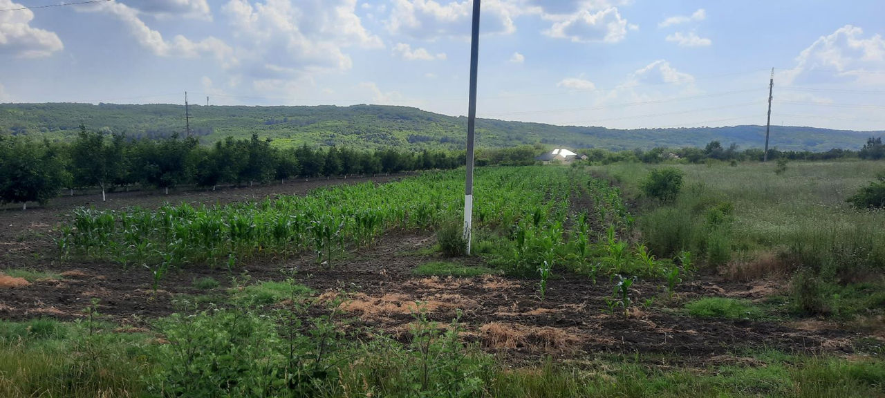 1 ari la traseu, 15 metri iesire spre traseu, 143 m în adîncime, acces de pe 2 drumuri, cu gaz, apă  foto 9