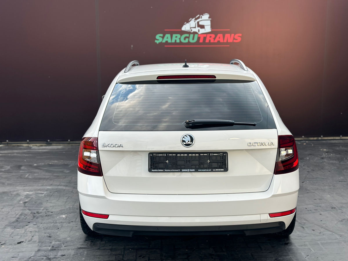 Skoda Octavia фото 4