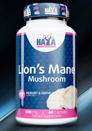 Lion's mane mushroom ежовик гребенчатый,бородатый гриб, львиная грива foto 0