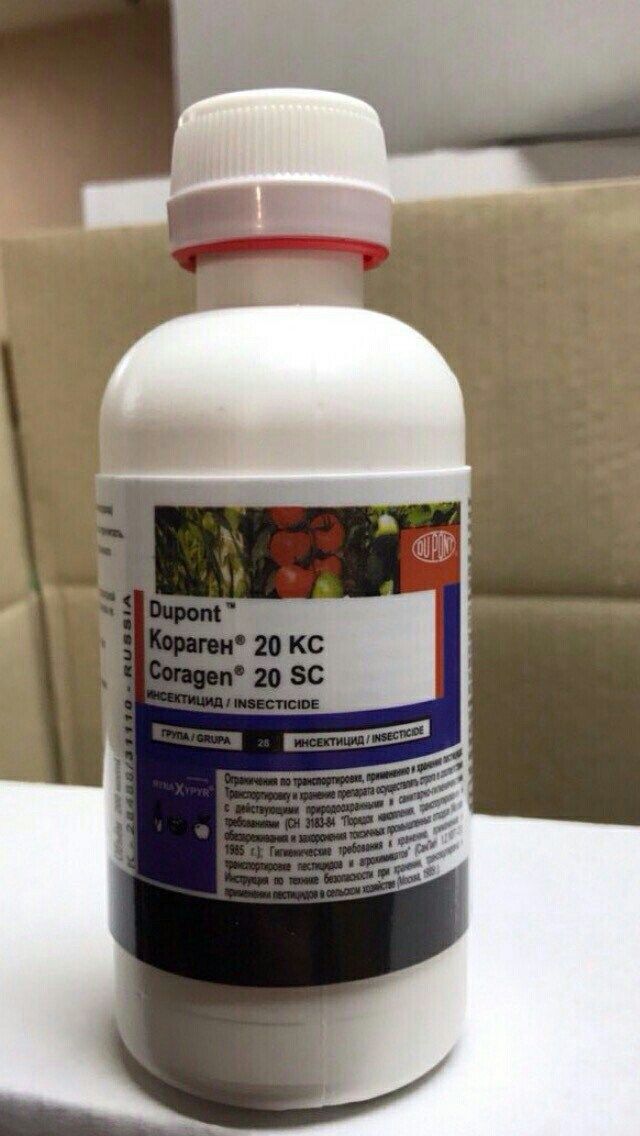 Express гербицид для подсолнуха