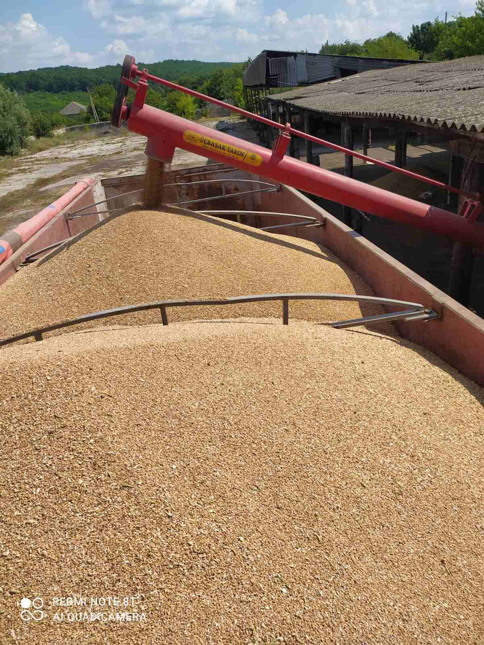 Semiremorca Zaslaw, Basculanta Posibil Schimb foto 2