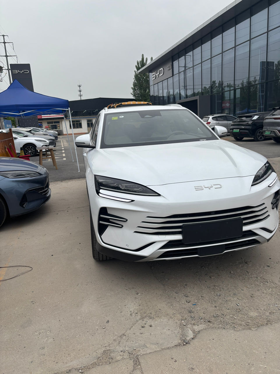 Byd Song Plus фото 0