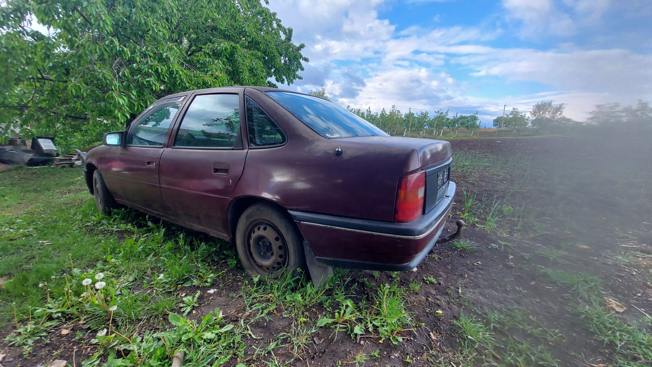 Opel Vectra фото 1