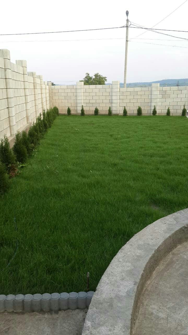 Îngrășăminte pentru iarbă de gazon, reînvie firele galbene ,pete uscate,zone moarte 120 lei kg фото 8