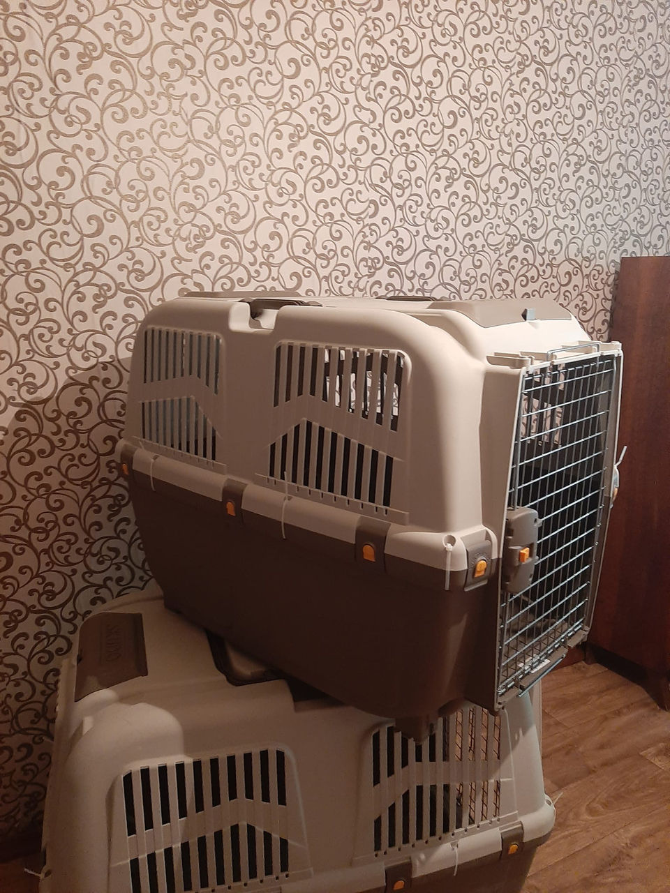 Продаю две транспортировочные переноски Скудо.