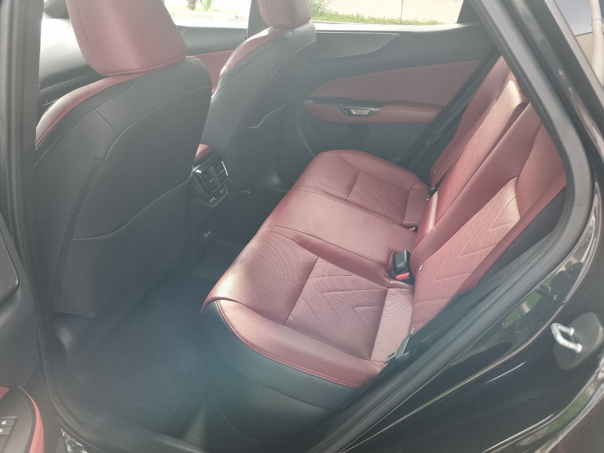 Lexus NX Series 2022 photo 18