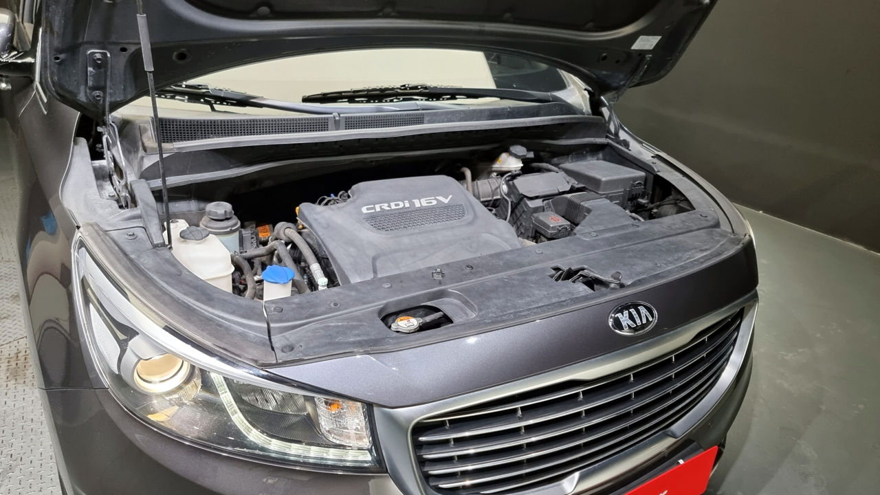 KIA Carnival foto 15