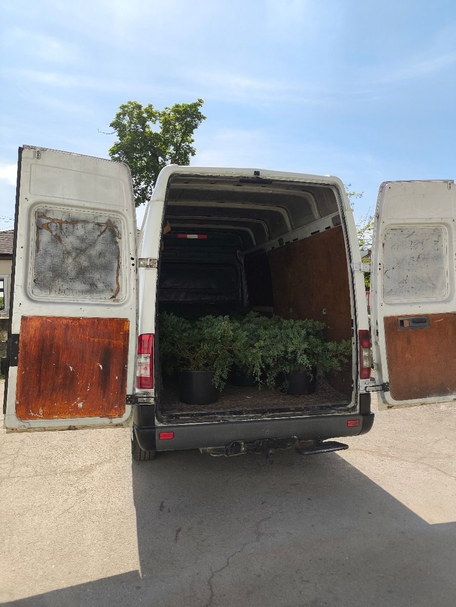 Servicii de transport preț pământesc  фото 1