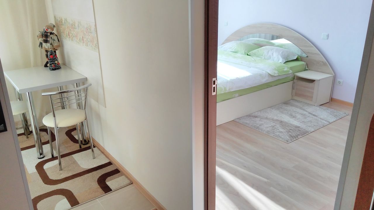 Apartament cu 1 cameră,  Botanica,  Chișinău mun. foto 6