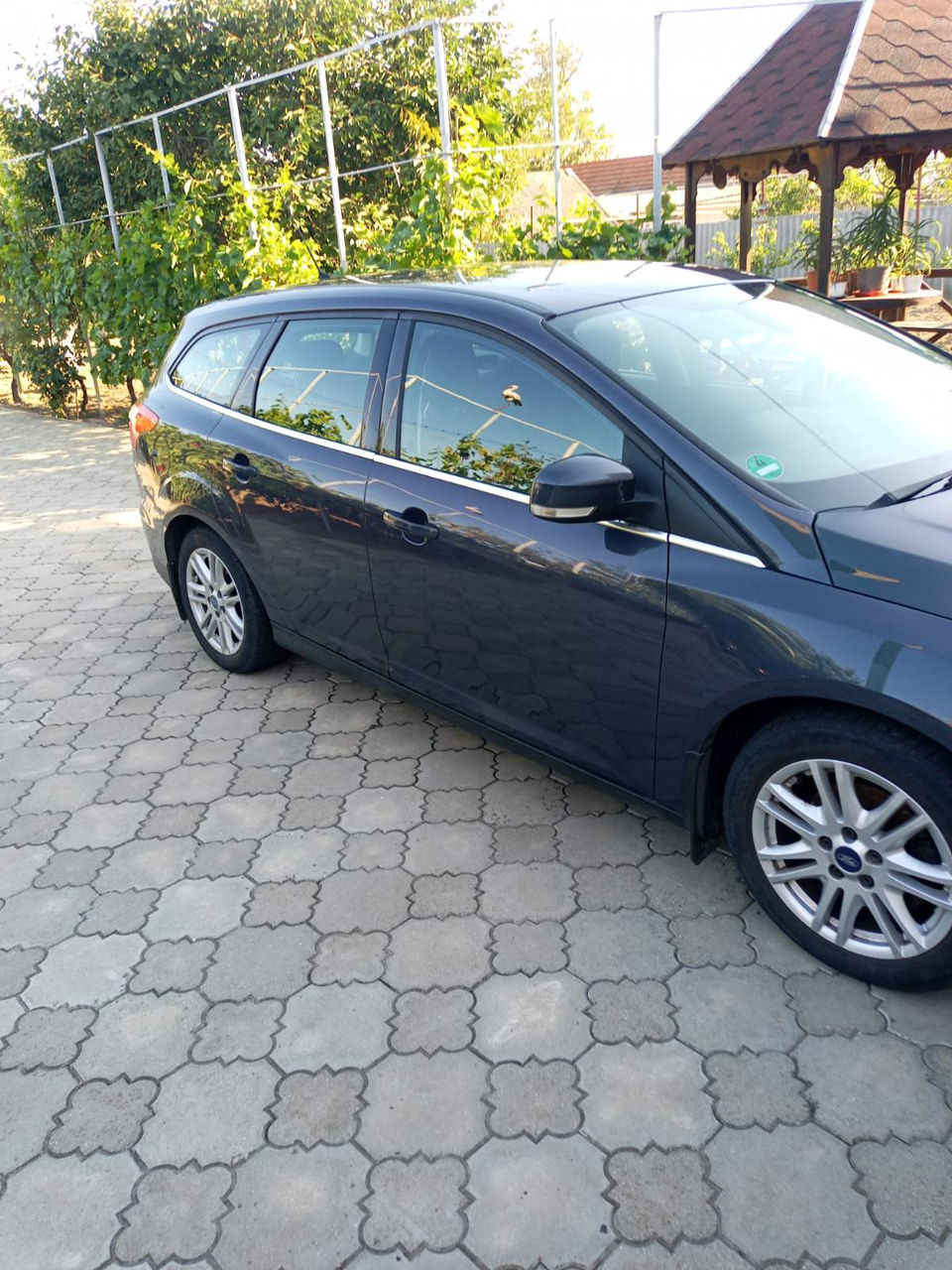 Ford Focus фото 1