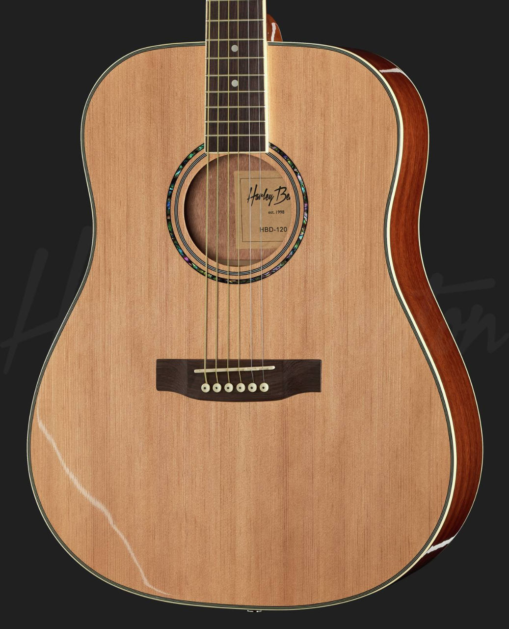 Fender, Aria.... guitars folck rock instrument..acoustic folk rok. Hi foto 5