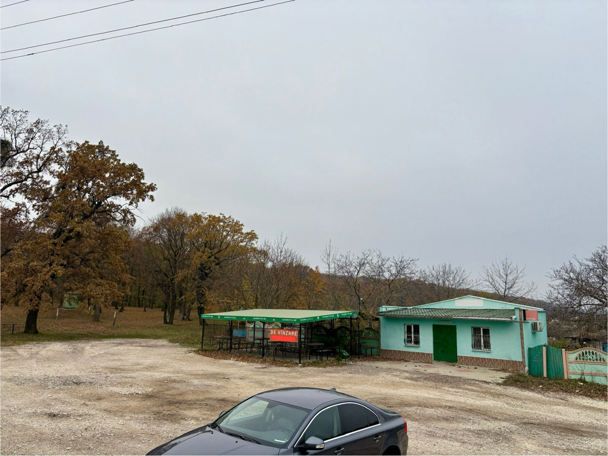 Afacere de Vânzare – Oportunitate de Investiție pe Prima Linie Rezina - Orhei foto 4