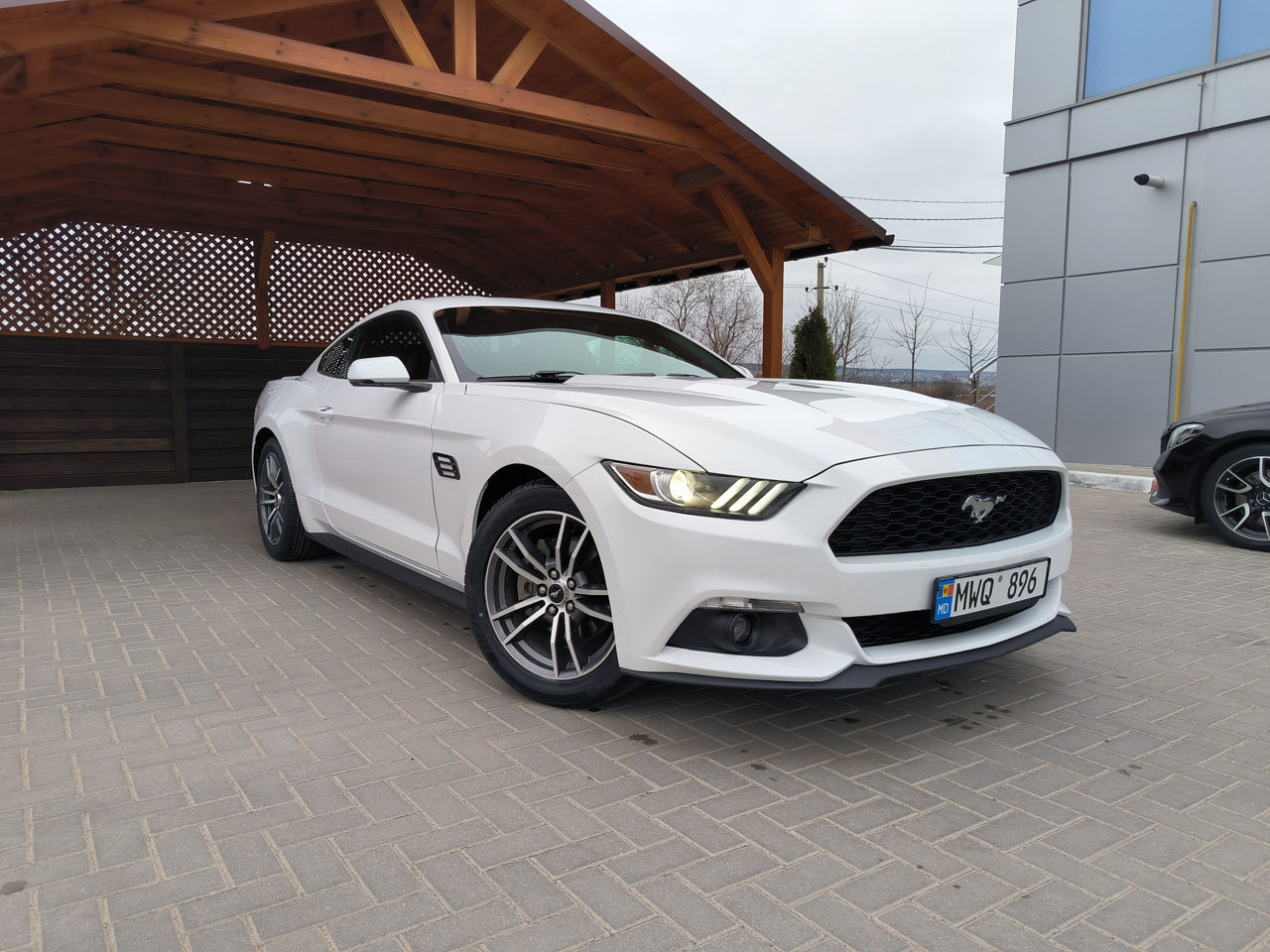 Ford Mustang foto 3