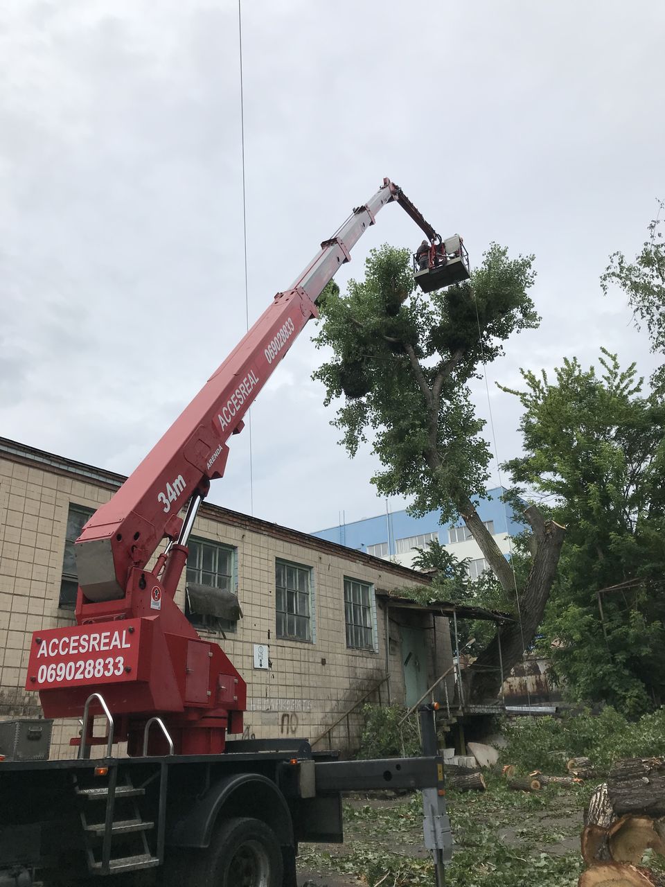 Îndepărtarea și tăierea arborilor periculoși. Ieftin !!! Дёшево foto 3