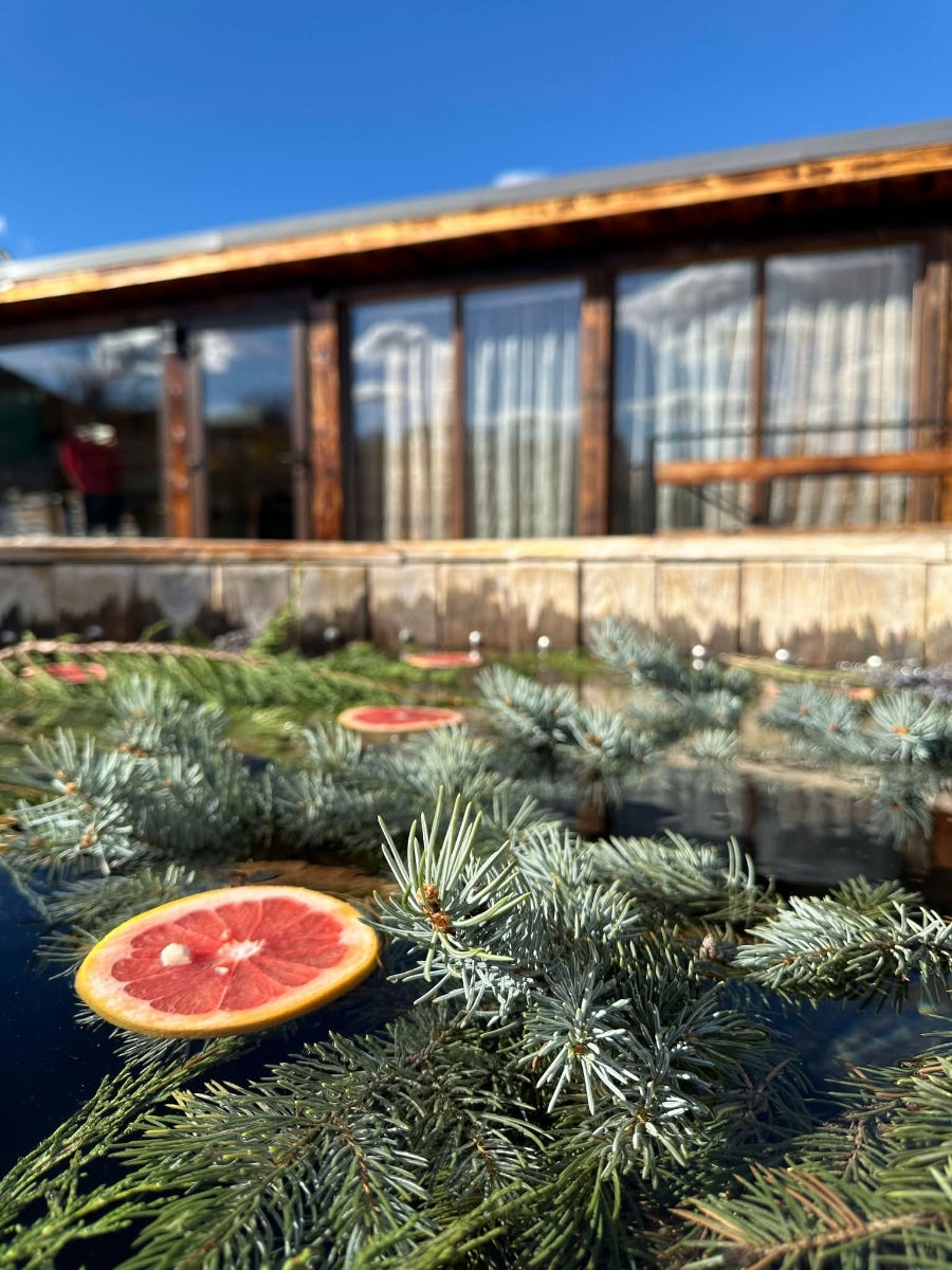 Inchiriere Vila cu piscina sauna si ciubar fierbinte In Balti foto 13