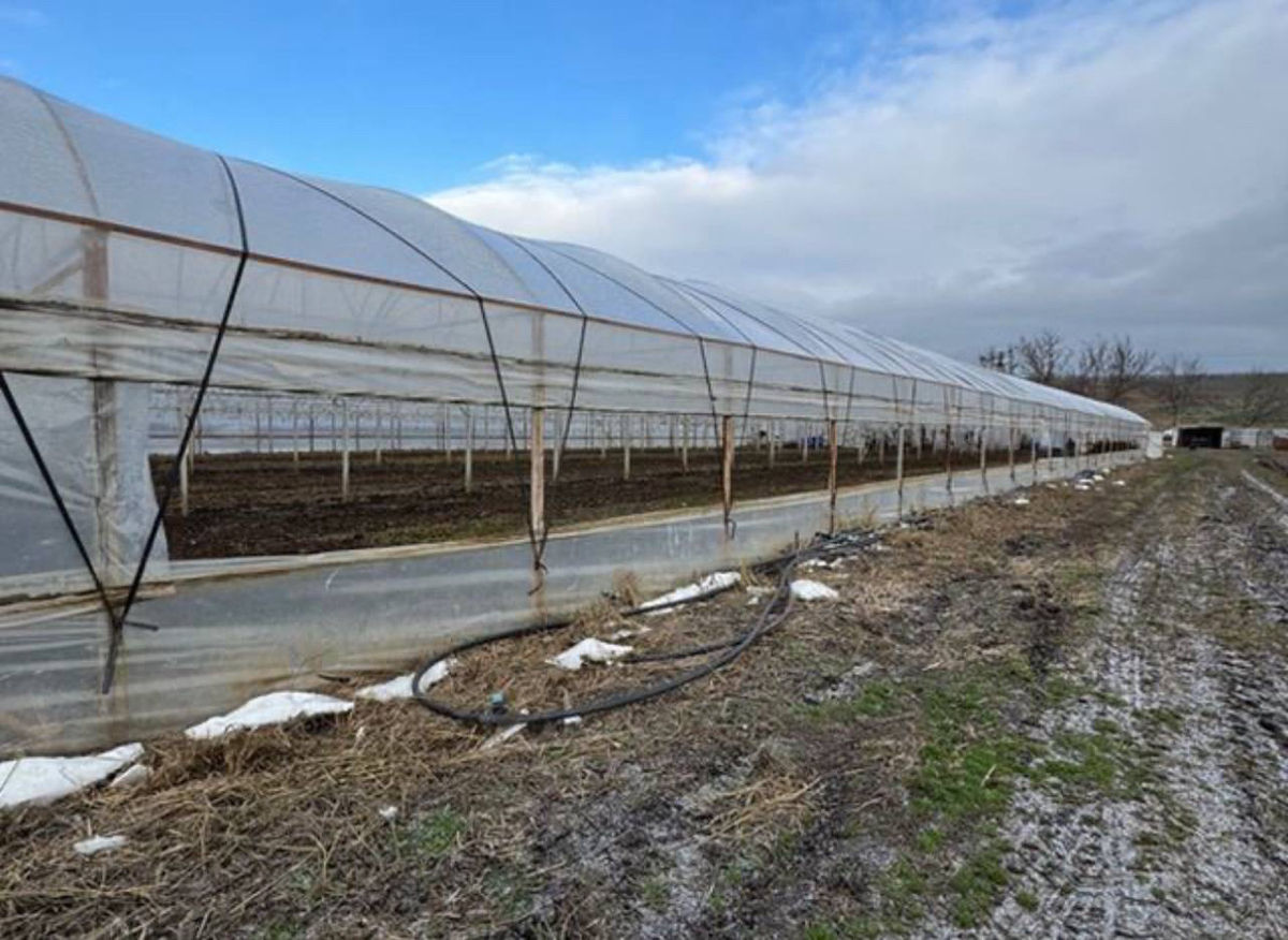Satul Humulesti ! Teren 3,7 ha ( Gradina ), lingă pădure ! foto 2