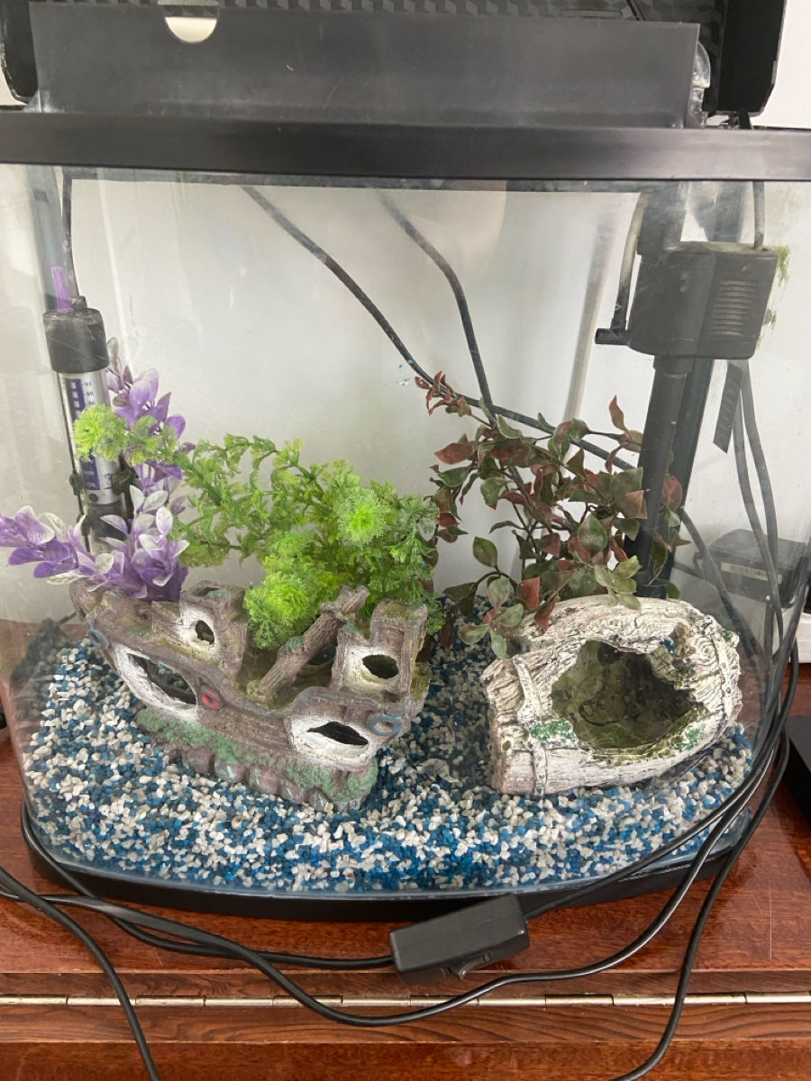 Acvarium cu tot ce este în el foto 2