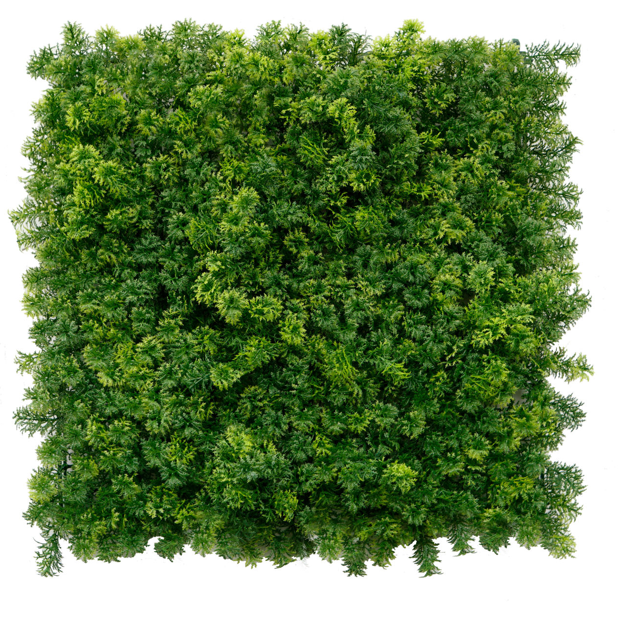 Perete Decorativ Greenery Moss Green (17852) foto 0