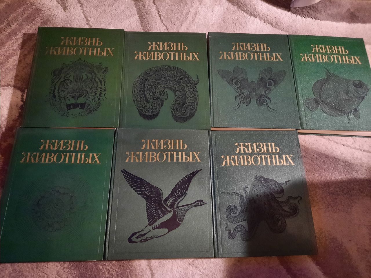 Энциклопедия жизнь животных 1987г