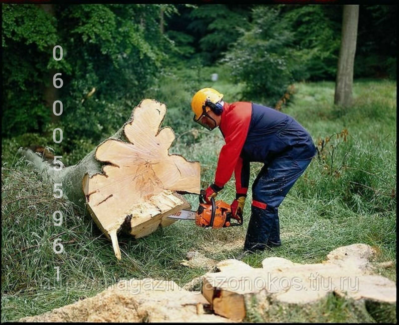 Taierea copacilor cu benzopila defrisare arbori,autoturn curatarea pomilor foto 2