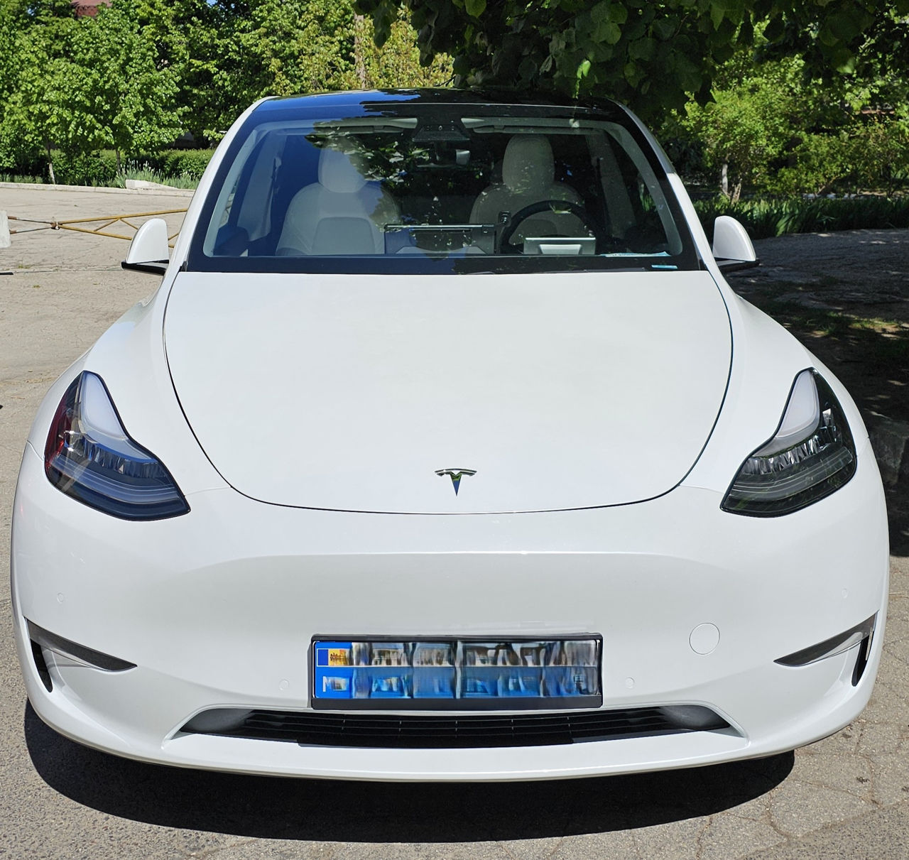 Tesla Model Y foto 0