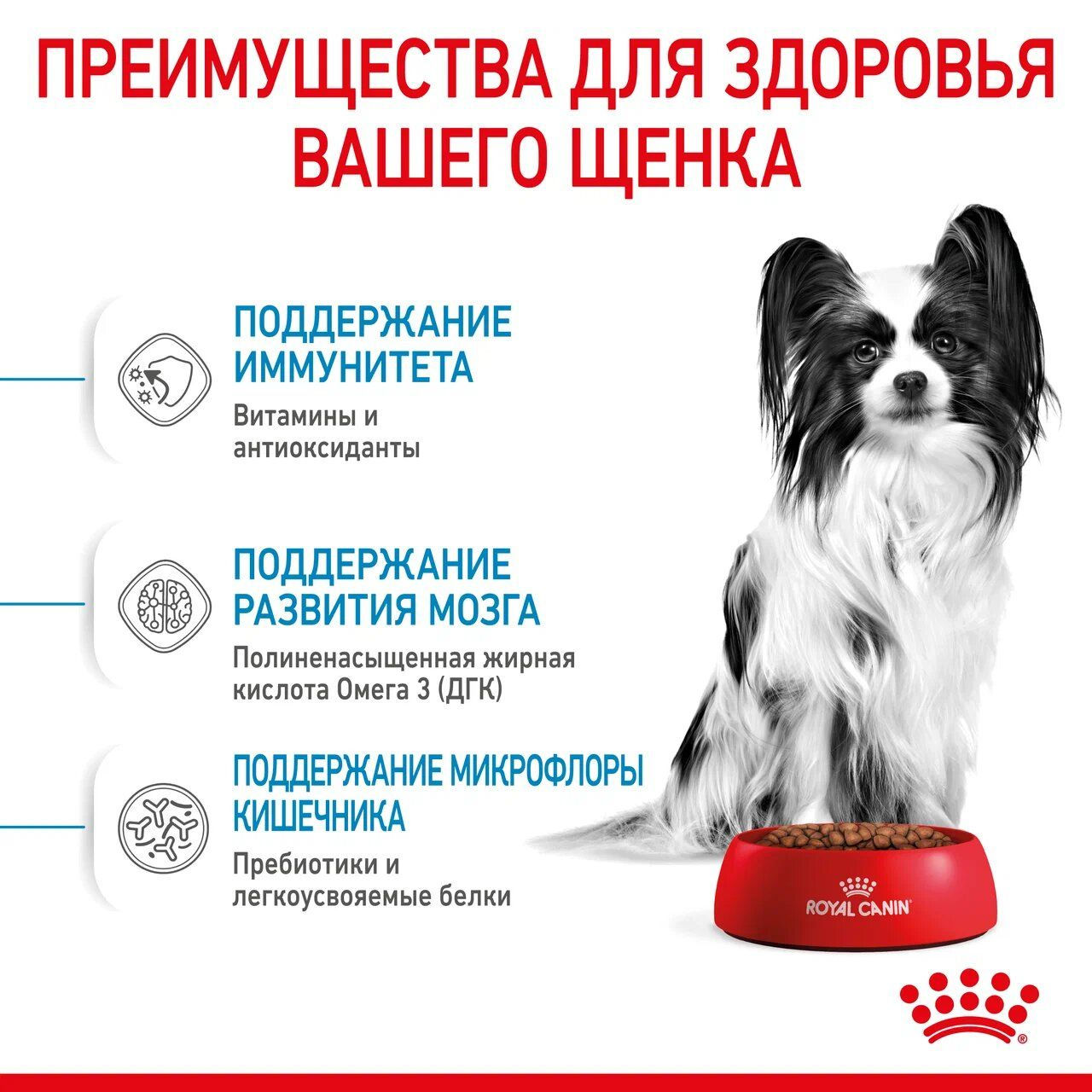 Сухой корм для щенков Royal Canin X-Small Puppy фото 2