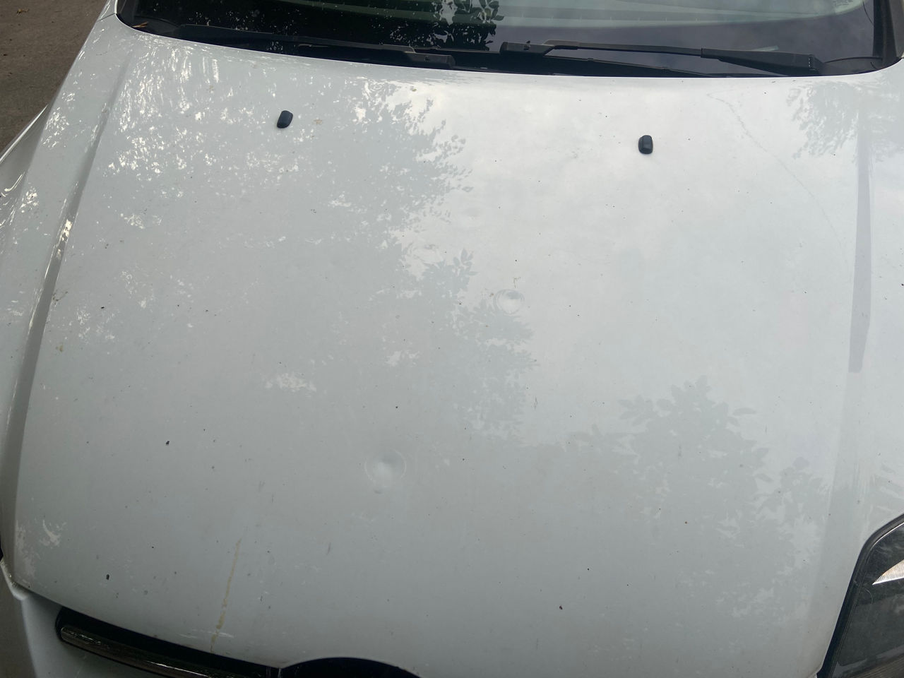 Ford Focus foto 8