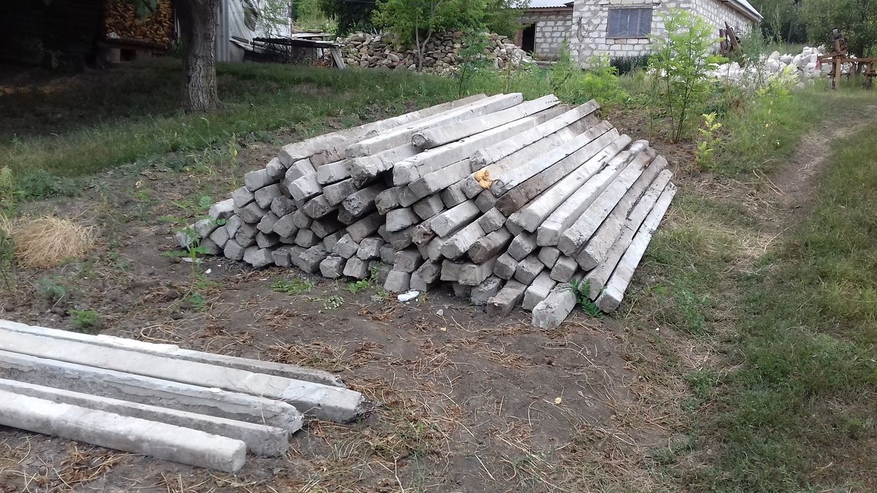 продам отличную шпалеру высокоштамбовую