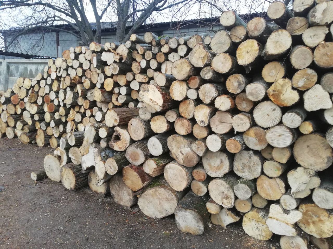 Lemn pentru foc si brichete.En- Gros. Livrare. Volume mari/ Дрова оптом. доставка foto 1