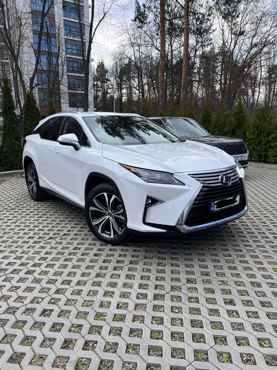 Lexus RX Series foto 1